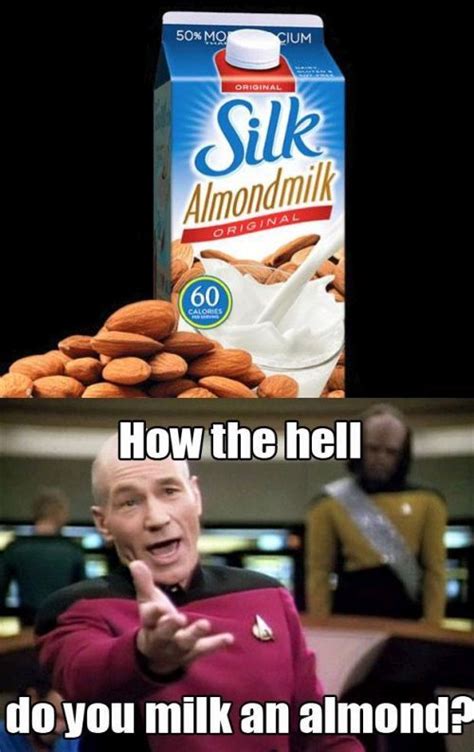 Detail Almond Milk Meme Nomer 36