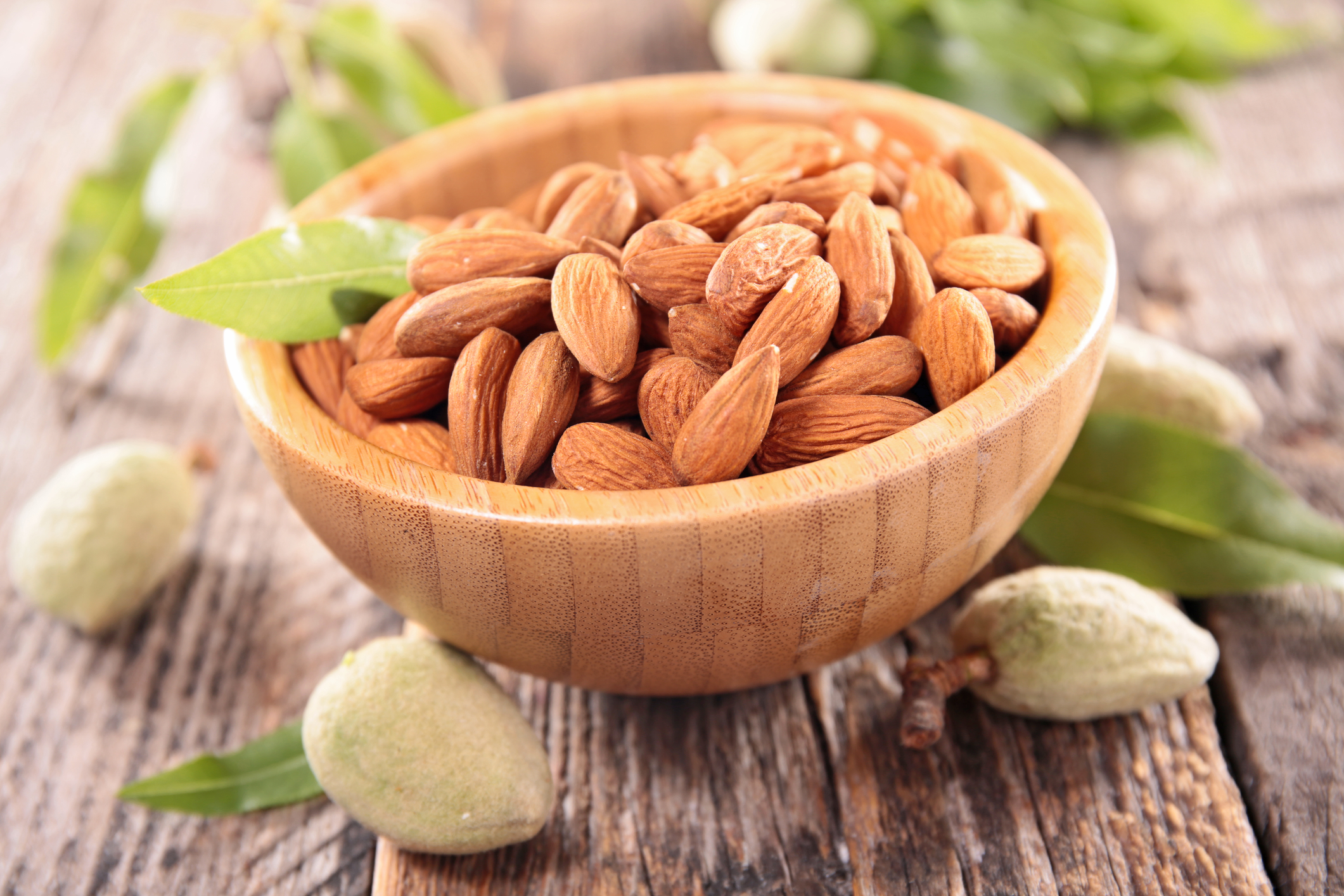 Detail Almond Nut Picture Nomer 11