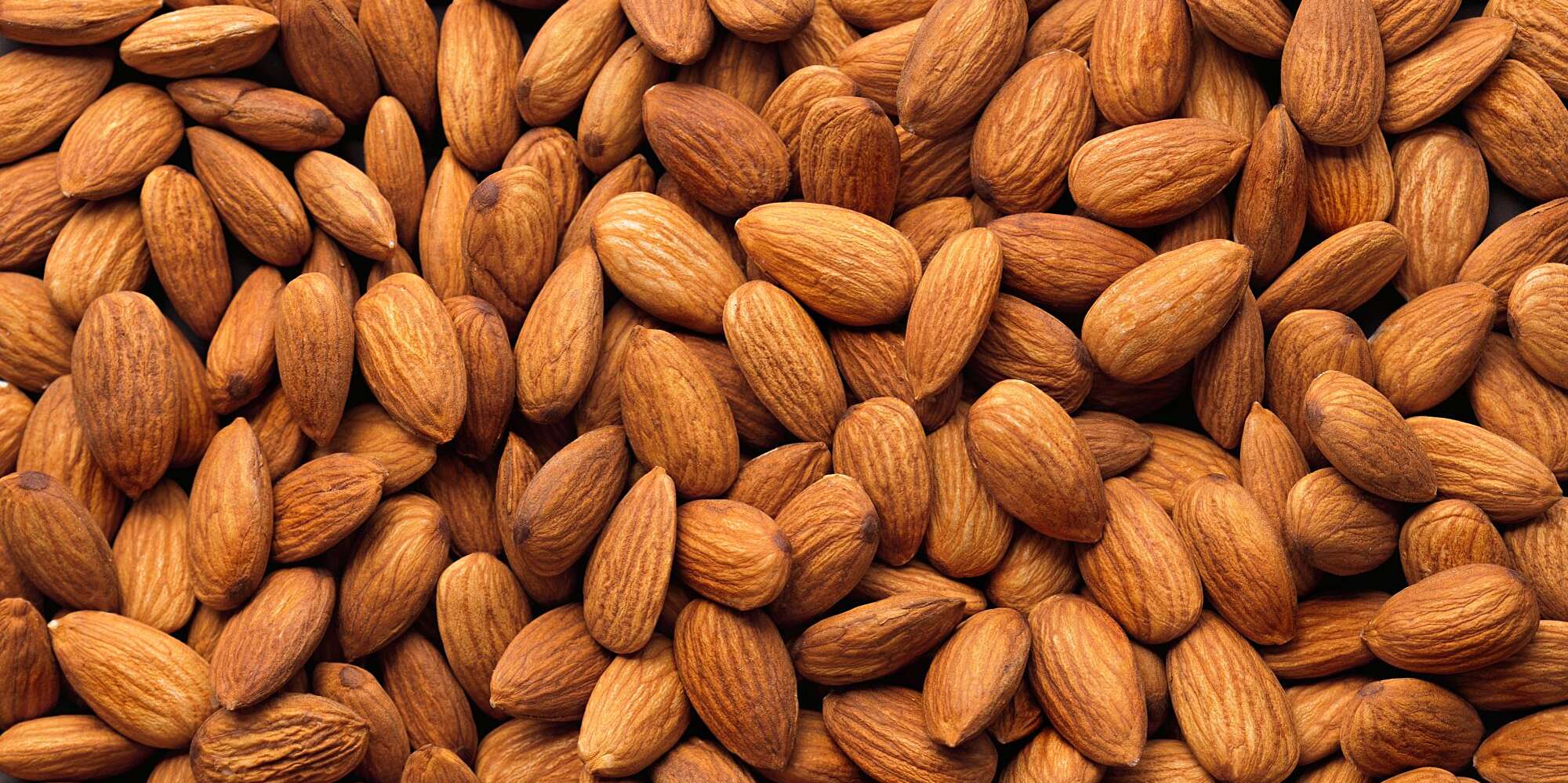 Detail Almond Nut Picture Nomer 4