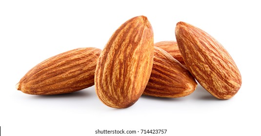 Detail Almond Nut Picture Nomer 35