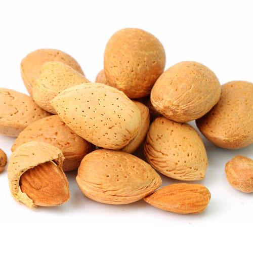 Detail Almond Nut Picture Nomer 47