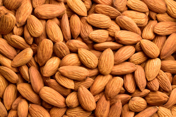 Detail Almond Nut Picture Nomer 6