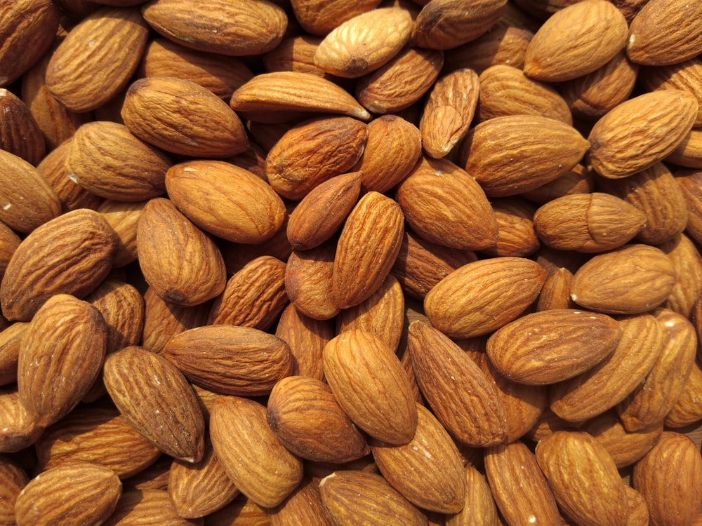 Detail Almond Nut Picture Nomer 49