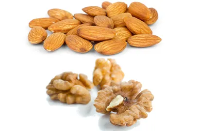 Detail Almond Nut Picture Nomer 56