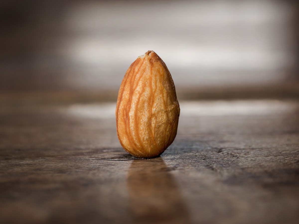 Detail Almond Nut Picture Nomer 9