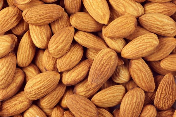 Detail Almond Nuts Pictures Nomer 30