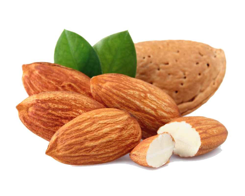 Almond Transparent - KibrisPDR