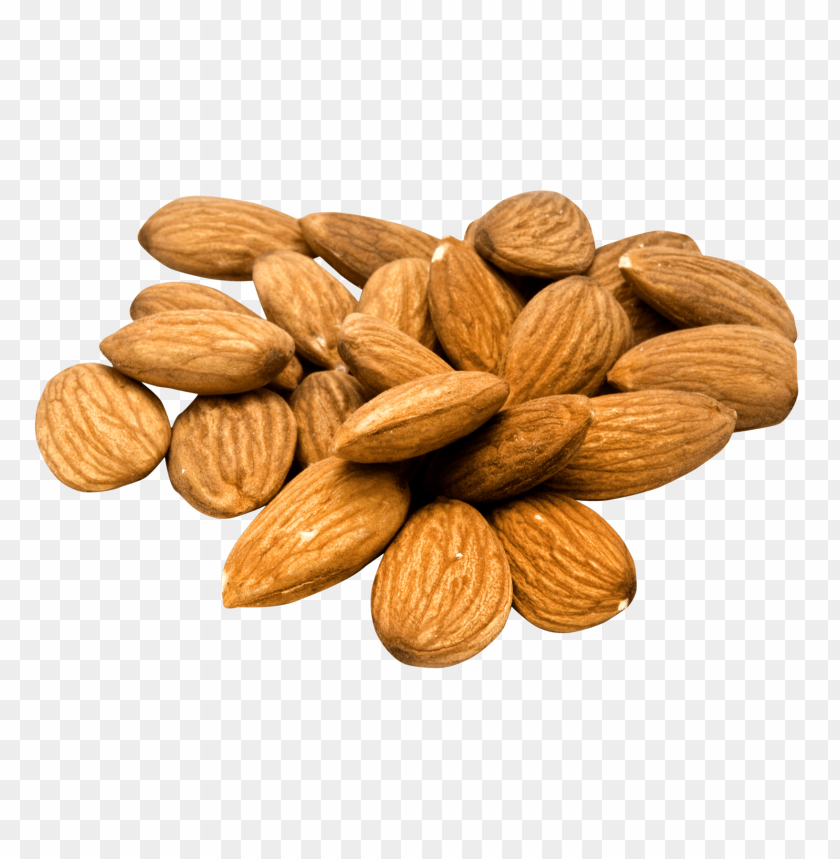 Detail Almond Transparent Nomer 10