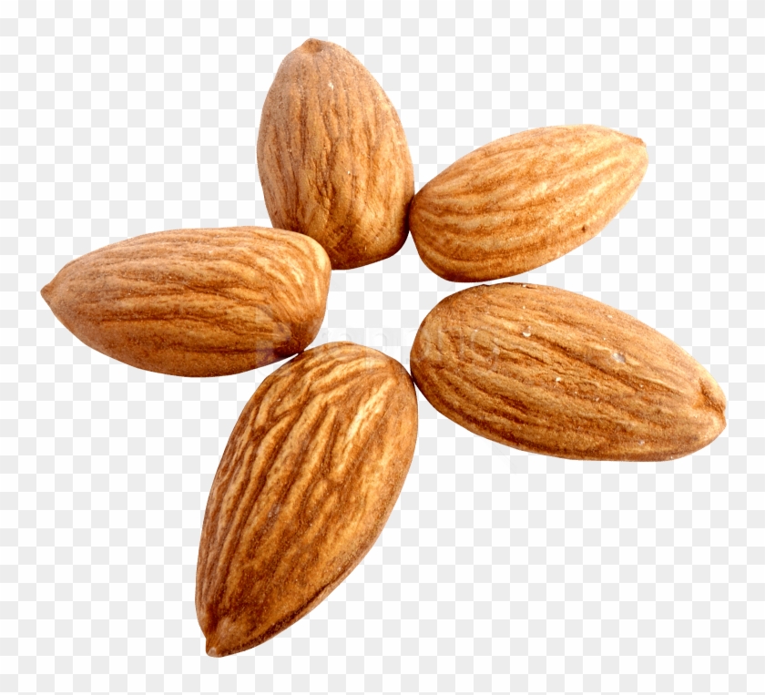 Detail Almond Transparent Nomer 3