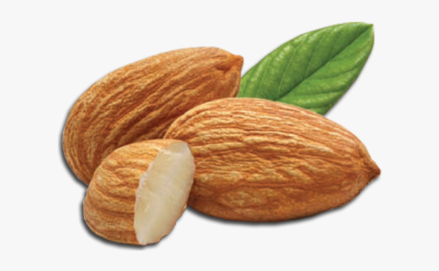 Detail Almond Transparent Nomer 4