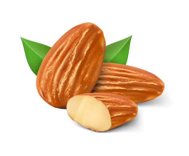 Detail Almonds Clipart Nomer 31