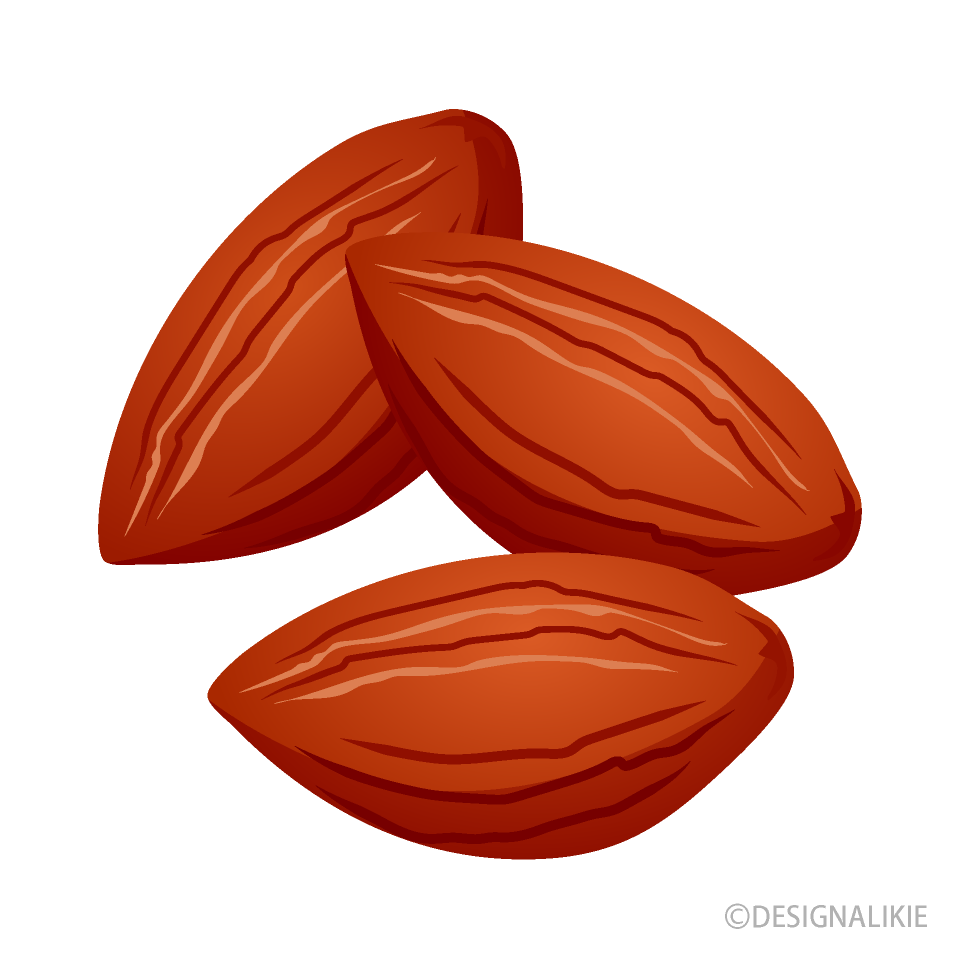 Detail Almonds Clipart Nomer 33