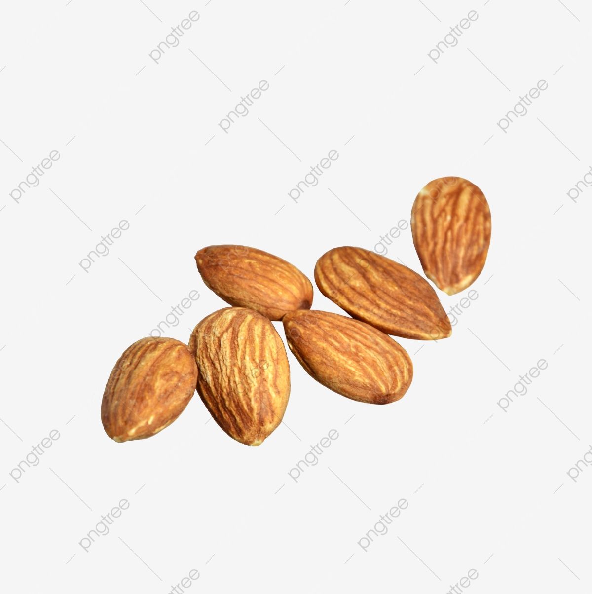 Detail Almonds Clipart Nomer 35