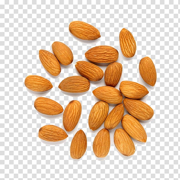 Detail Almonds Clipart Nomer 41