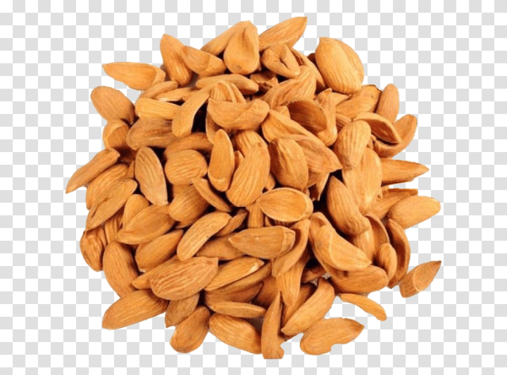 Detail Almonds Clipart Nomer 53