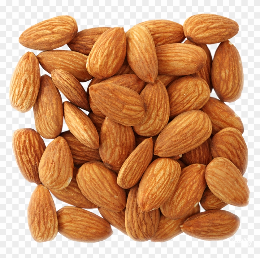 Detail Almonds Png Nomer 13