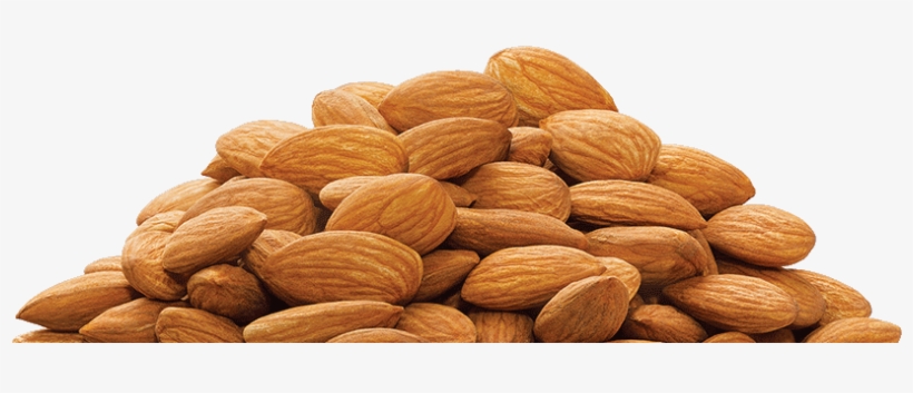 Detail Almonds Png Nomer 14