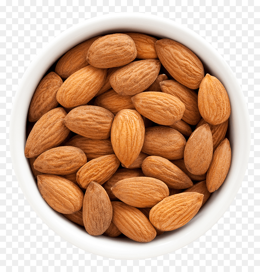 Detail Almonds Png Nomer 16