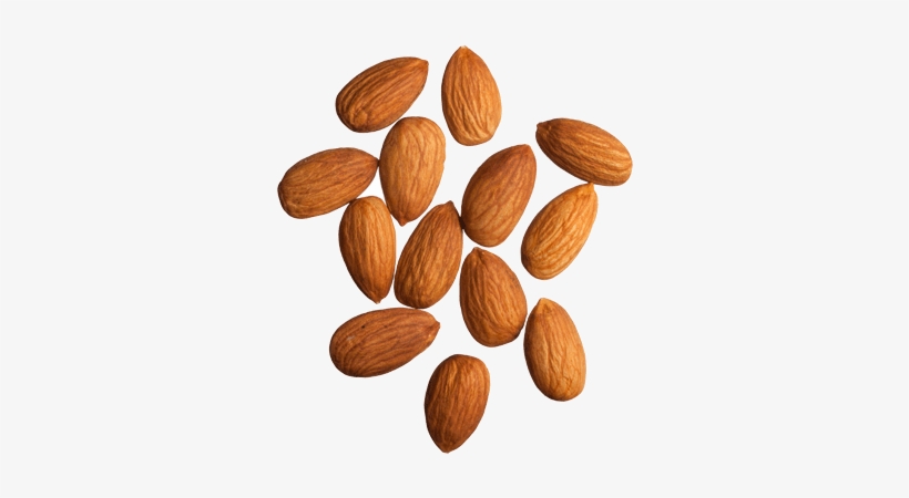 Detail Almonds Png Nomer 24