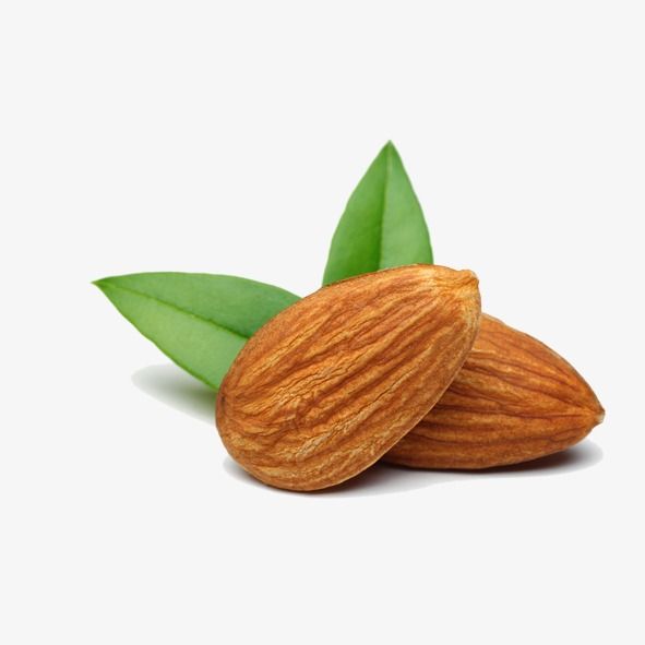 Detail Almonds Png Nomer 28