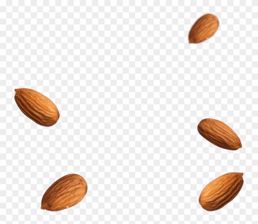 Detail Almonds Png Nomer 37