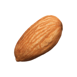 Detail Almonds Png Nomer 47