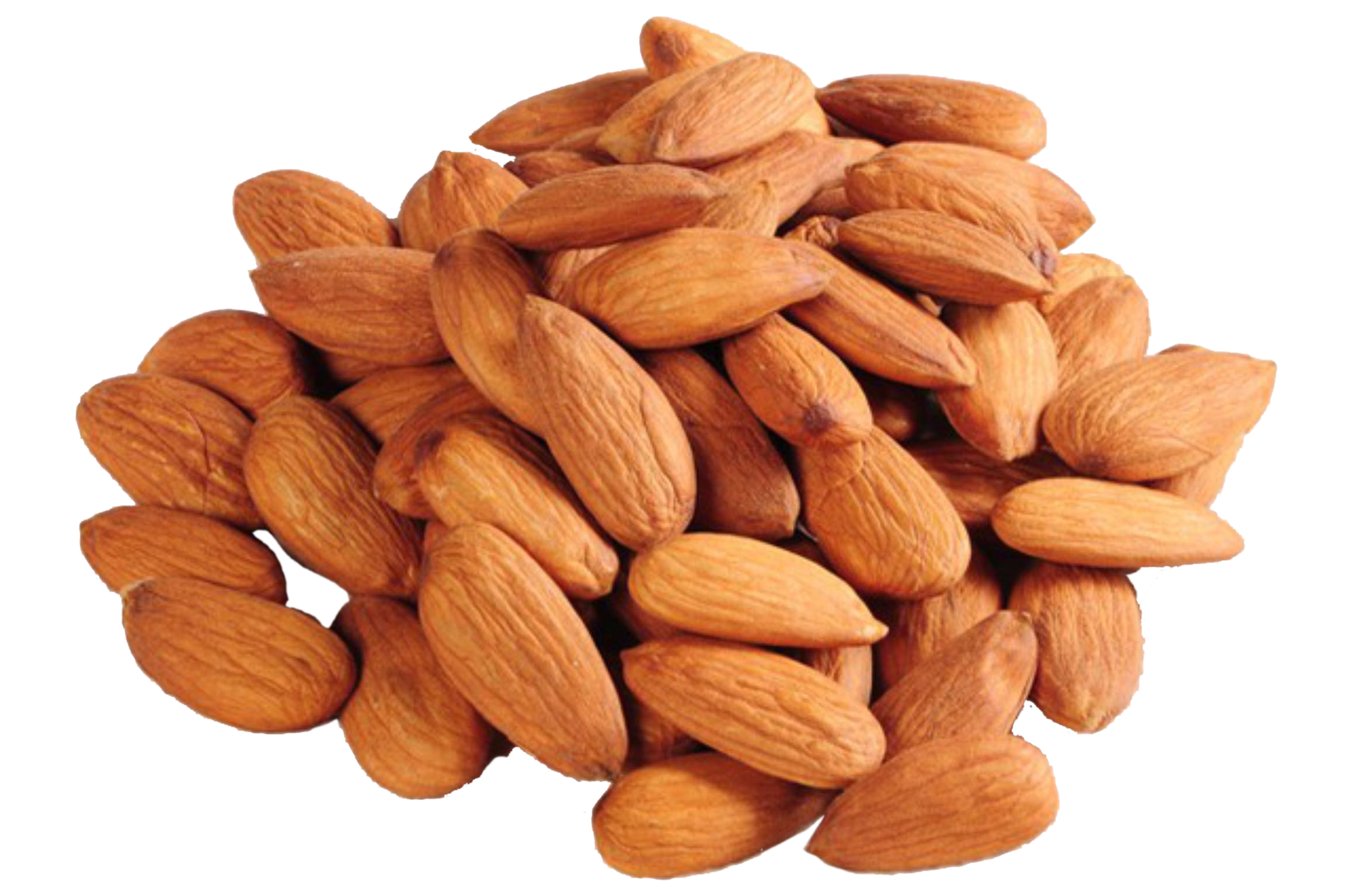 Detail Almonds Png Nomer 6