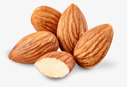 Detail Almonds Png Nomer 8