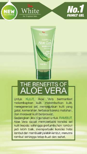 Detail Aloe Gel Viva Nomer 39