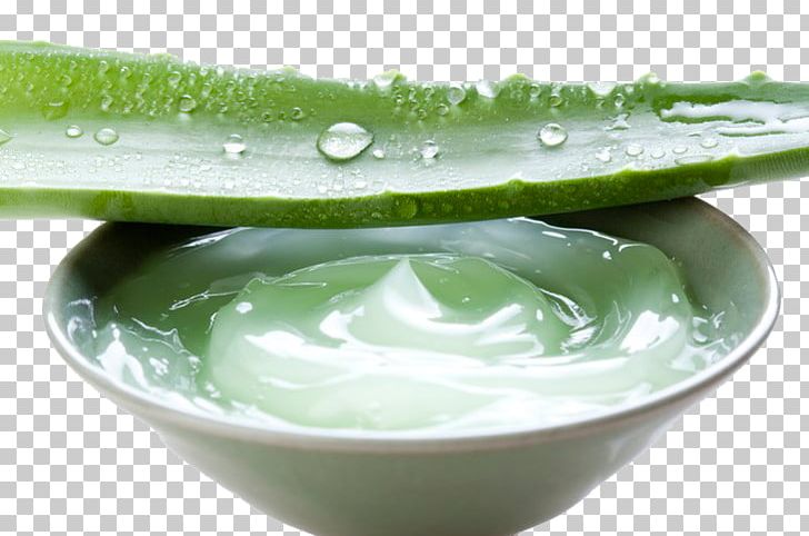 Detail Aloe Vera Gel Png Nomer 48