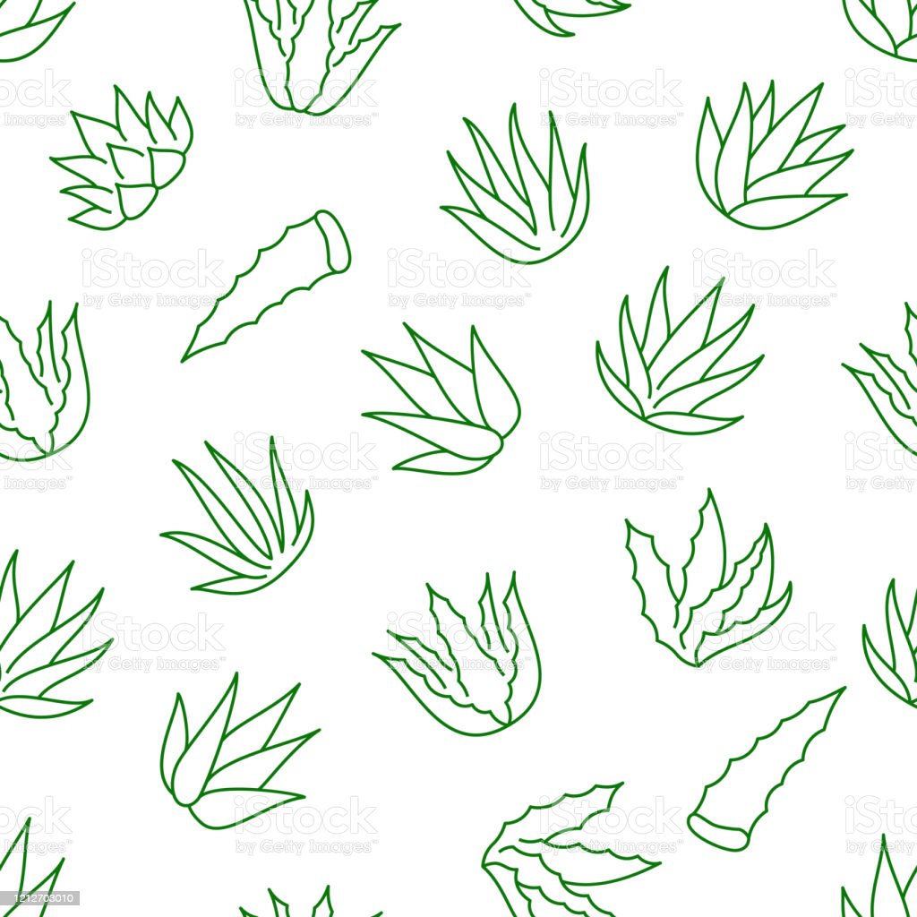 Detail Aloe Vera Wallpaper Nomer 55