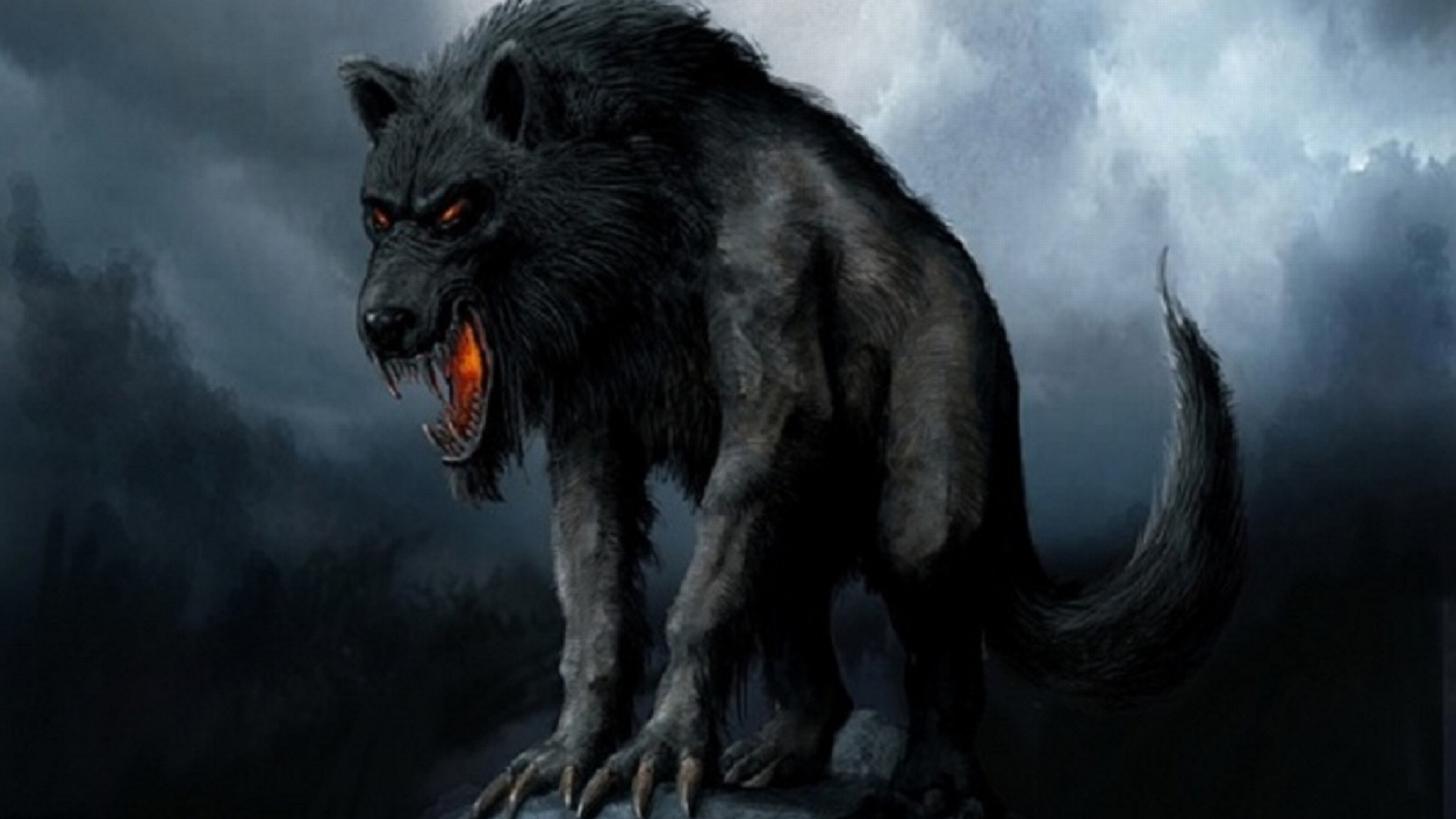 Detail Alpha Coders Wallpaper Nomer 39