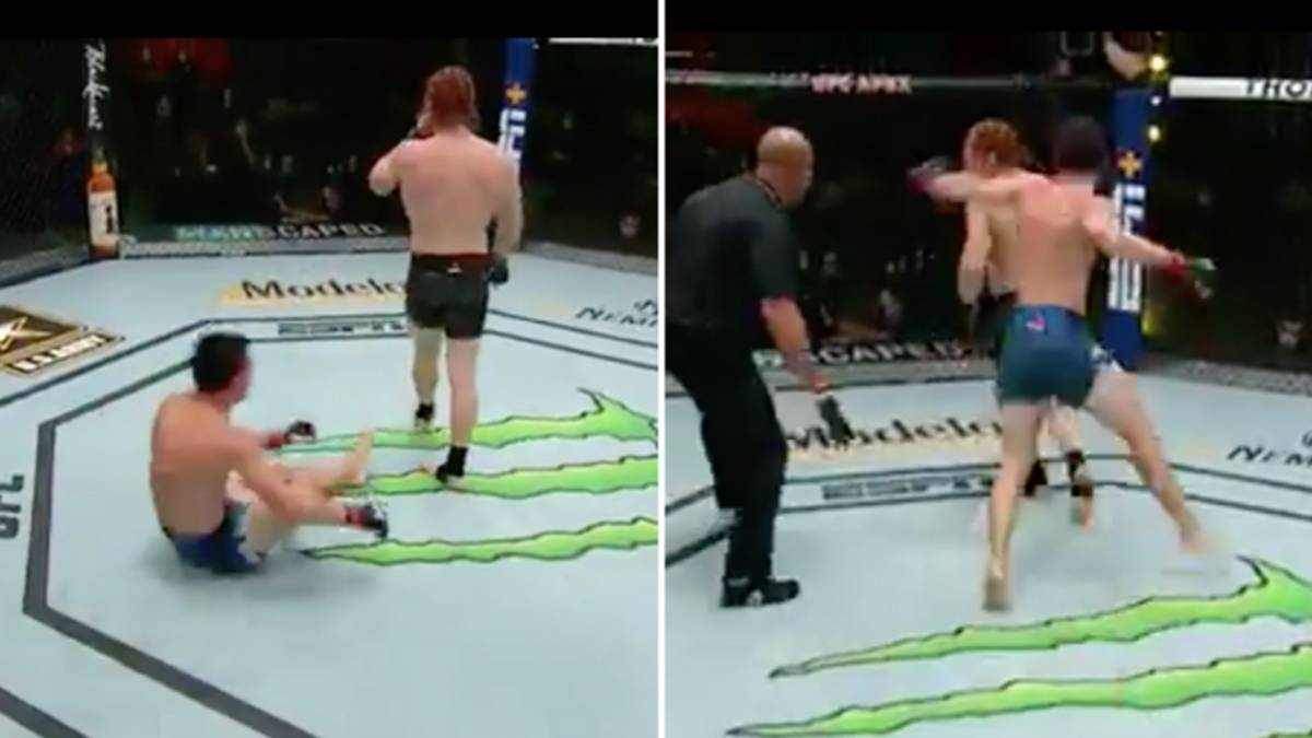 Detail Alpha Ginger Ufc Nomer 38