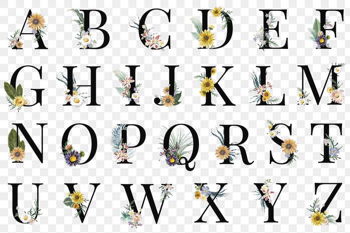 Detail Alphabet Letters Png Nomer 24