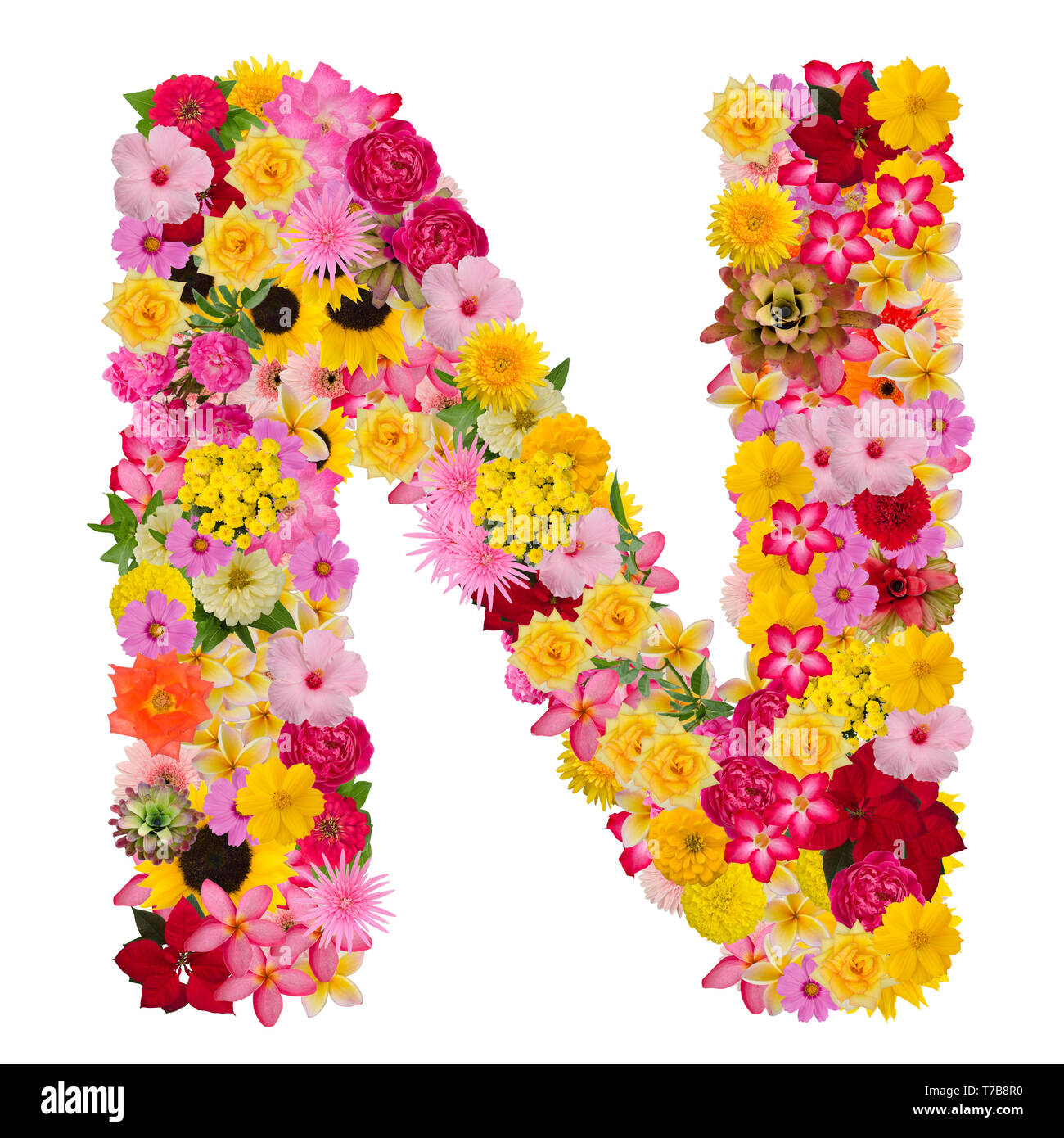 Detail Alphabet N Images Nomer 37