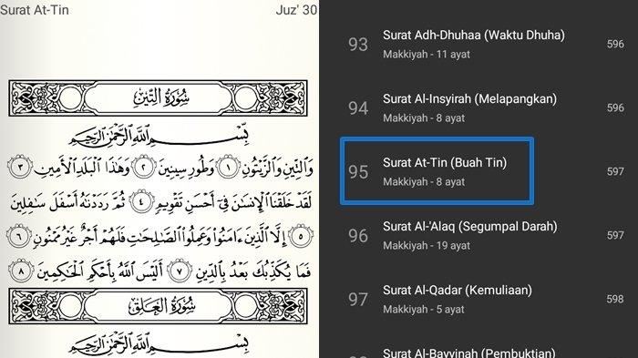 Detail Alquran Surat At Tin Nomer 11