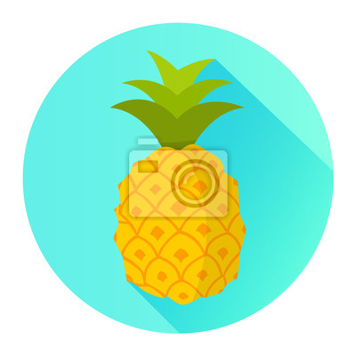 Detail Ananas Plantage Nomer 21