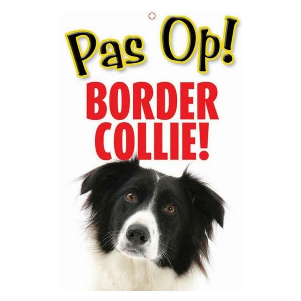 Detail Border Collie Berner Sennen Mix Nomer 24