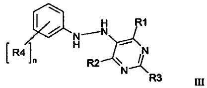 Detail Catalizador Homogeneo Nomer 8