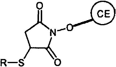 Detail Catalizador Homogeneo Nomer 16