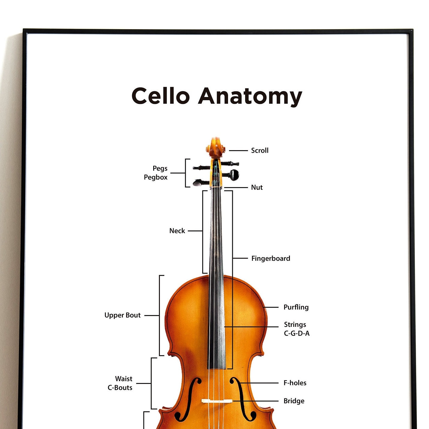 Detail Cello Zeichnen Nomer 22