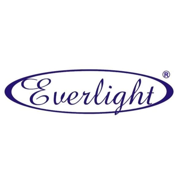 Detail Everlight Logo Nomer 16