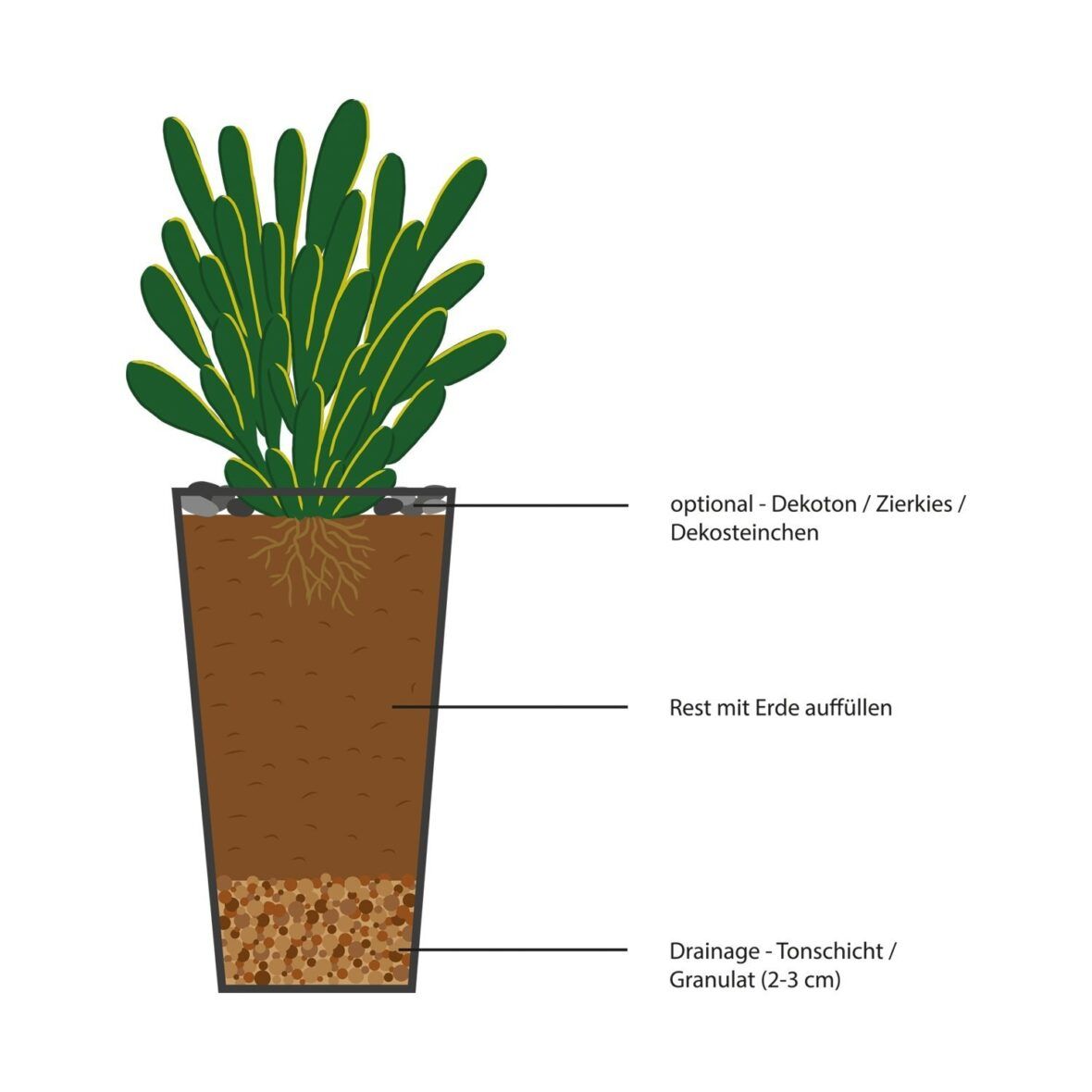 Plastiktopf Pflanzen 29+ Koleksi Gambar
