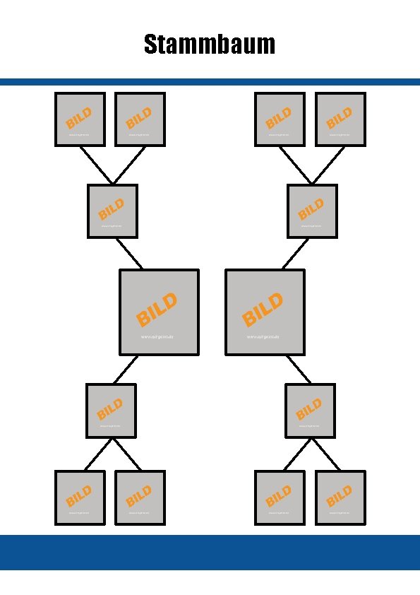 Detail Stammbaum Vorlage Powerpoint Nomer 16