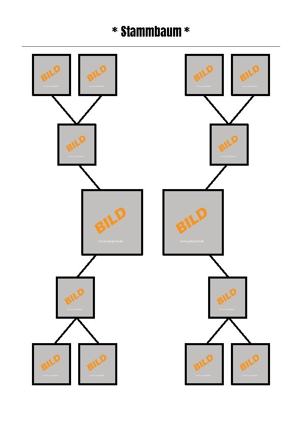 Detail Stammbaum Vorlage Powerpoint Nomer 18