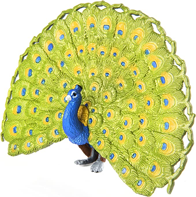 Detail Weiblicher Pfau Nomer 9