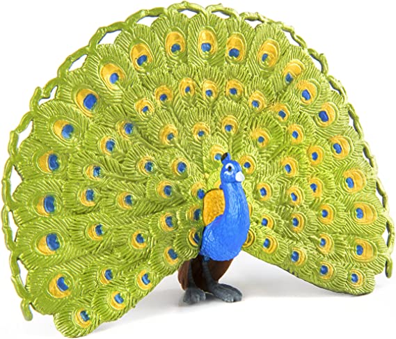Detail Weiblicher Pfau Nomer 11