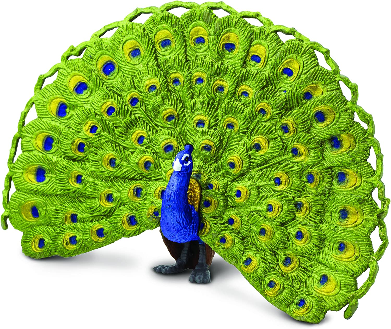 Detail Weiblicher Pfau Nomer 17