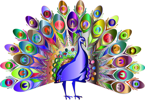 Detail Weiblicher Pfau Nomer 5