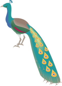 Detail Weiblicher Pfau Nomer 7